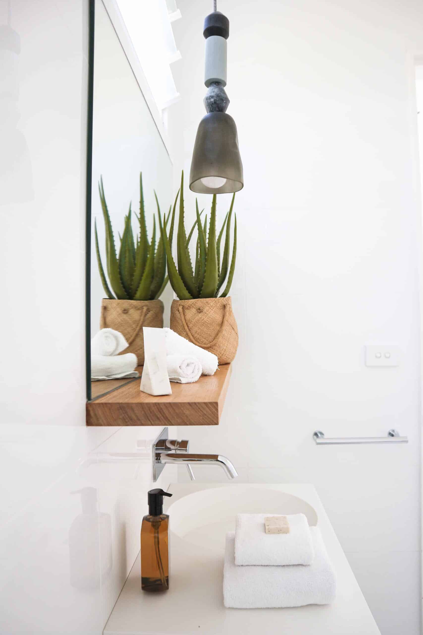 aloe vera in bathroom