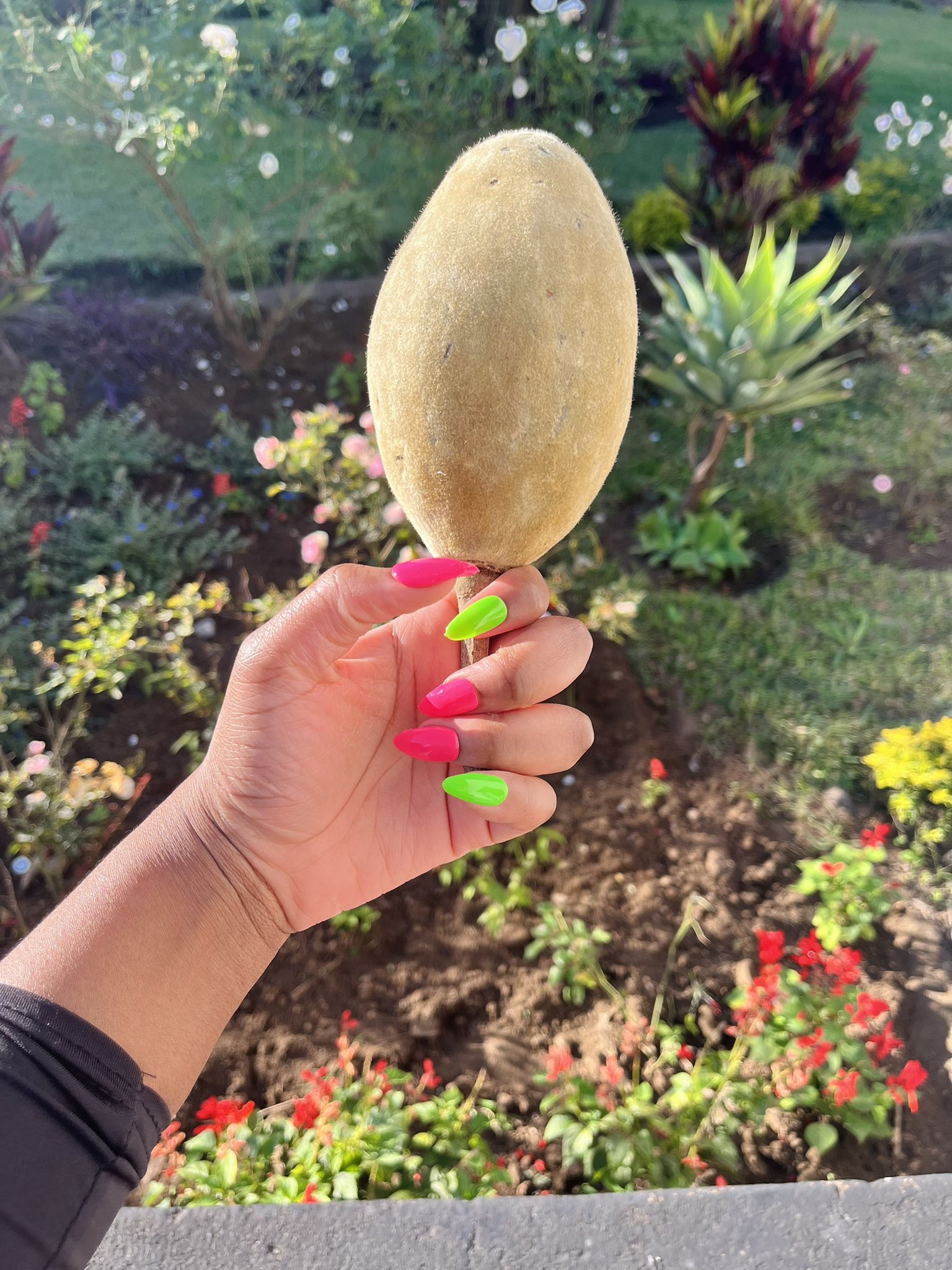 Woman holding a baobab