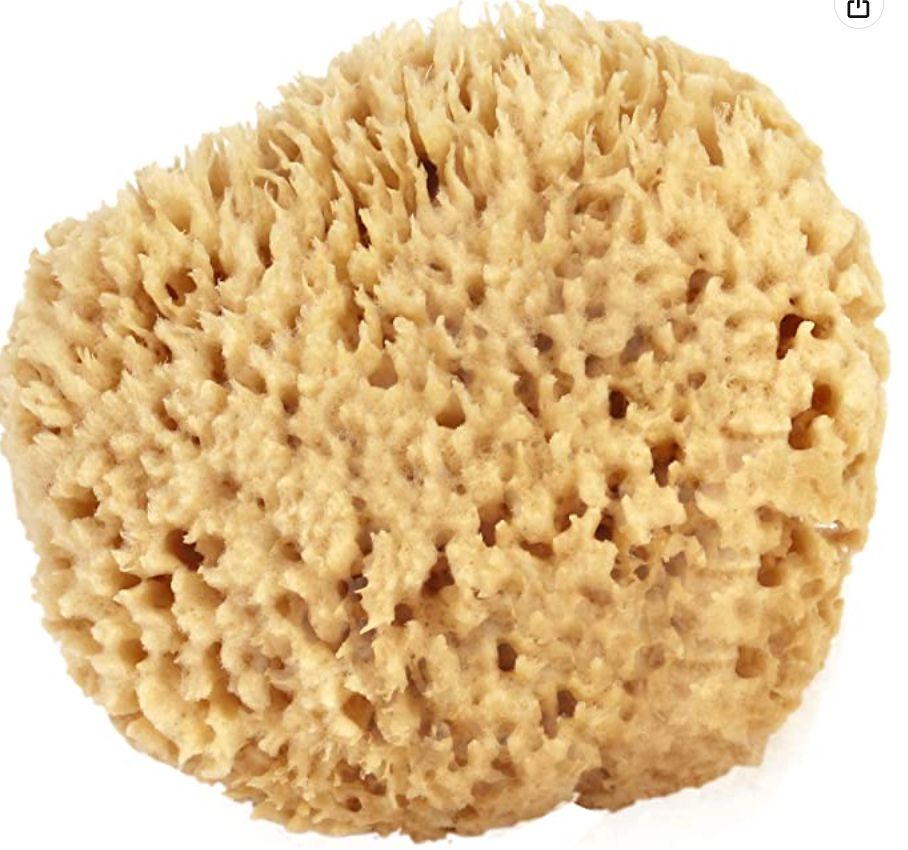 natural sponge